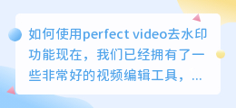 perfect video去水印