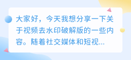 视频去水印破解版