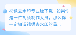 视频去水印专业版下载