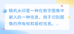 去随机水印