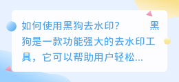 黑狗去水印