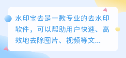 水印宝去