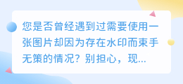 vn去水印