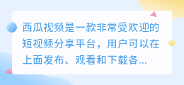 去水印 西瓜