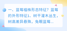 蓝莓自然形态解析视频 蒲公英的自然形态单元形态？