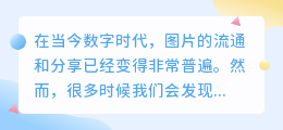 有偿去水印