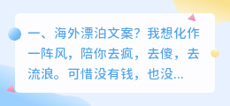 海外漂泊文案?