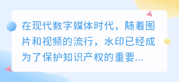 训诫去水印