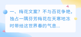 梅花文案?