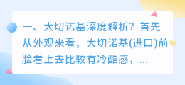 十九大视频深度解析 大审判深度解析?
