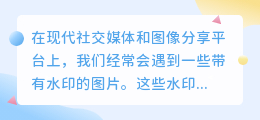 虾皮去水印