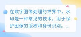 强度去水印