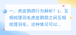 仓鼠行为解析照片视频 ins照片解析?