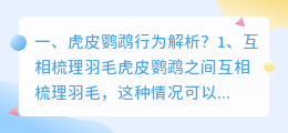 行为解析视频讲解教程 狗狗社交行为解析？