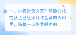 小麦景色文案?