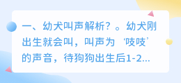 幼犬图片解析图视频 醒图怎么给视频加图片?