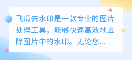飞瓜去水印