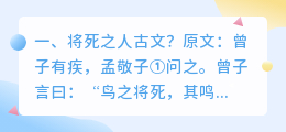 将死之人漫画解析视频 将死之人是成语吗?