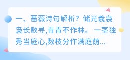 蔷薇礼物结局解析视频 蔷薇无色结局?
