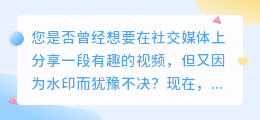 视频去水印免费破解版