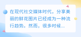 鲜花图片去水印