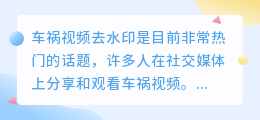 车祸视频去水印