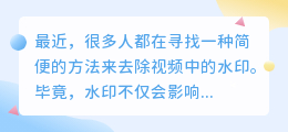 有视频去水印