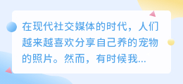 宠物图片去水印