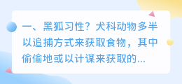 黑狐习性?