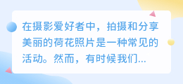 荷花图片去水印