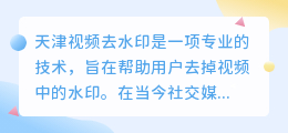 天津视频去水印