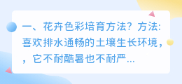 花卉色彩解析视频教学 色彩学性格解析?