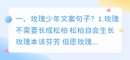 玫瑰少年文案句子?