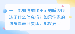 猫咪睡姿图片解析视频