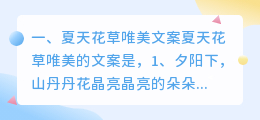 夏天花草唯美文案