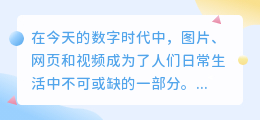图片网页视频去水印