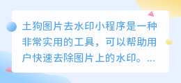 土狗图片去水印小程序