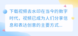 下载视频去水印