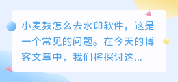 小麦麸怎么去水印软件