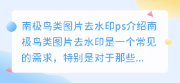 南极鸟类图片去水印ps