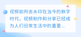 视频如何去水印