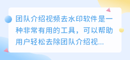 团队介绍视频去水印软件