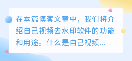 介绍自己视频去水印软件