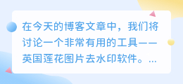 英国莲花图片去水印软件