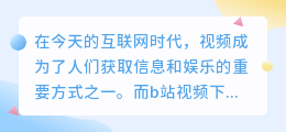 b站视频下载去水印