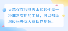 大蒜保存视频去水印软件