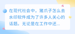 猪爪子怎么去水印软件