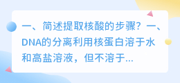 简述提取核酸的步骤?