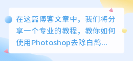白鸽图片去水印ps教程
