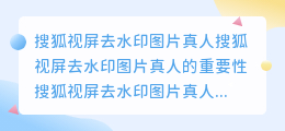 搜狐视屏去水印图片真人